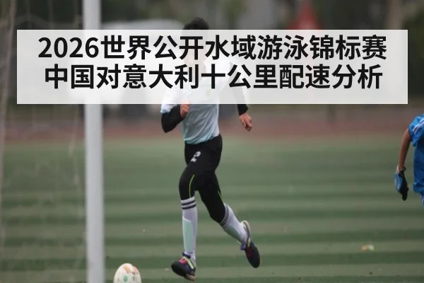 2026世界公开水域游泳锦标赛中国对意大利十公里配速分析（c7）